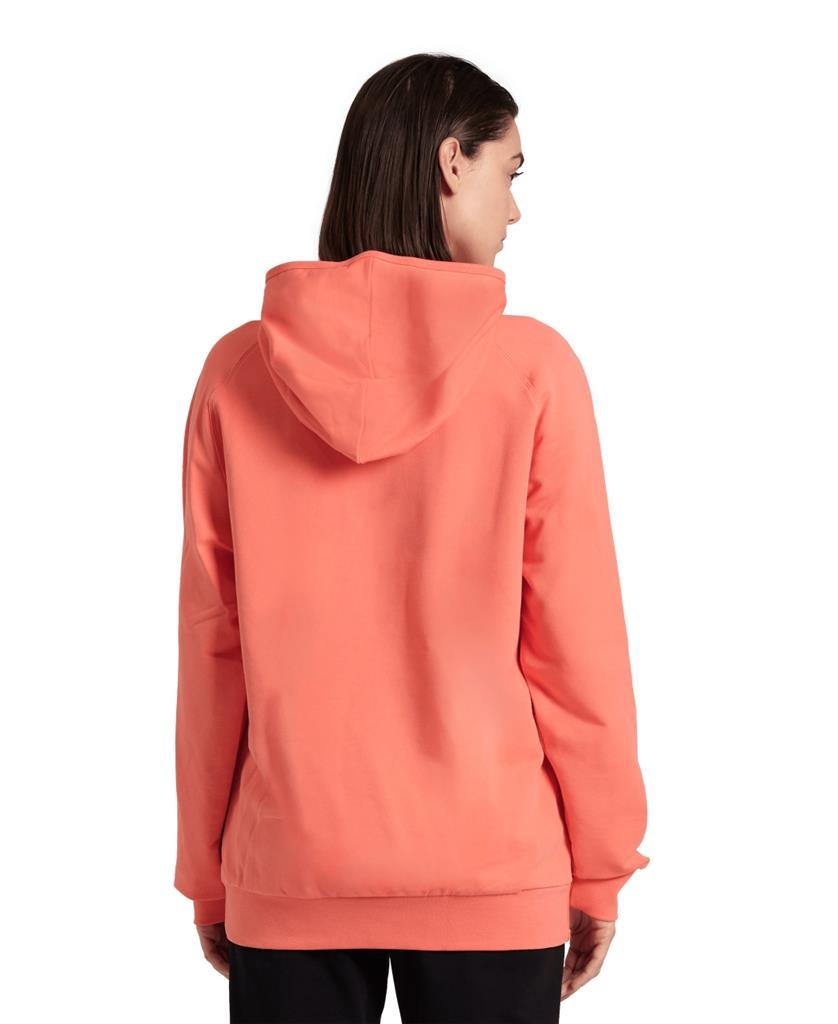 Arena Unisex Hooded Sweat Graphic